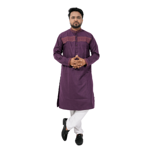 Elegant Purple Punjabi with Embroidered Details